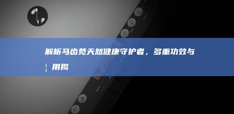 解析马齿苋：天然健康守护者，多重功效与妙用揭秘